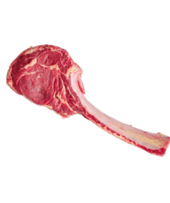 Bò